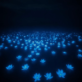 Glowing blue flowers floating in a dark enchanted lake, their light illuminating the water, mystical and otherworldly.